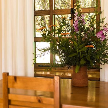 Churup Mountain Lodge Huaraz  Εξωτερικό φωτογραφία